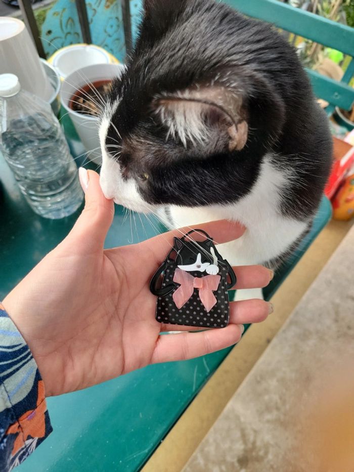 chat dans un sac - photo numéro 7