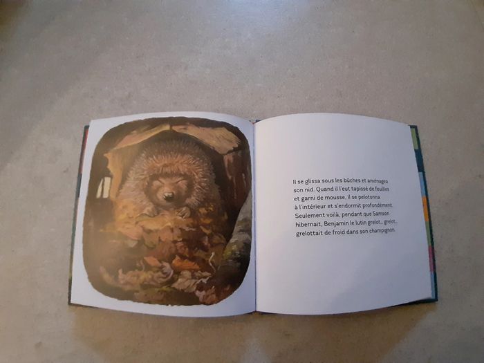 Livre samson le hérisson - photo numéro 4