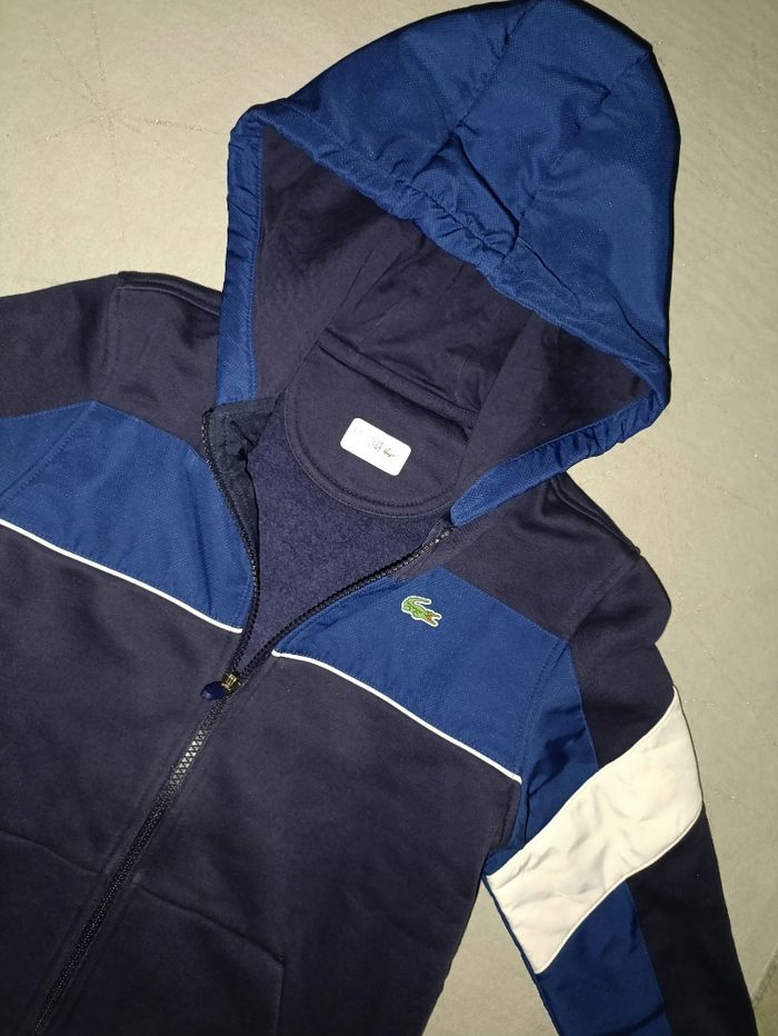 Gilet veste lacoste - photo numéro 2