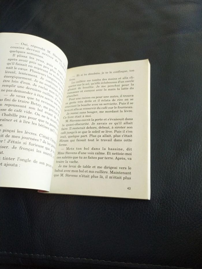 Katie et le cheval sauvage de Kathleen Duey - photo numéro 5