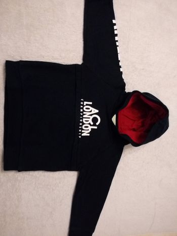 Sweat à capuche Vertbaudet 4 ans (réf perso P17)(familleac72)
