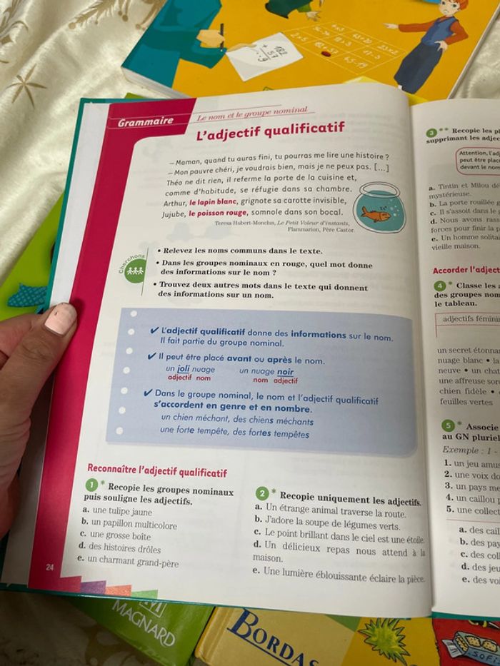 Manuels scolaires CE1 Mathématiques et français - photo numéro 11