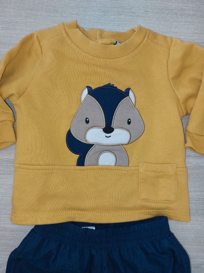 Ensemble / 6 mois - photo numéro 3