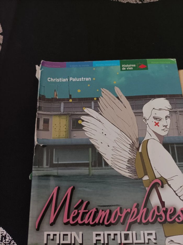 Lot de 4 livres scolaires - photo numéro 2