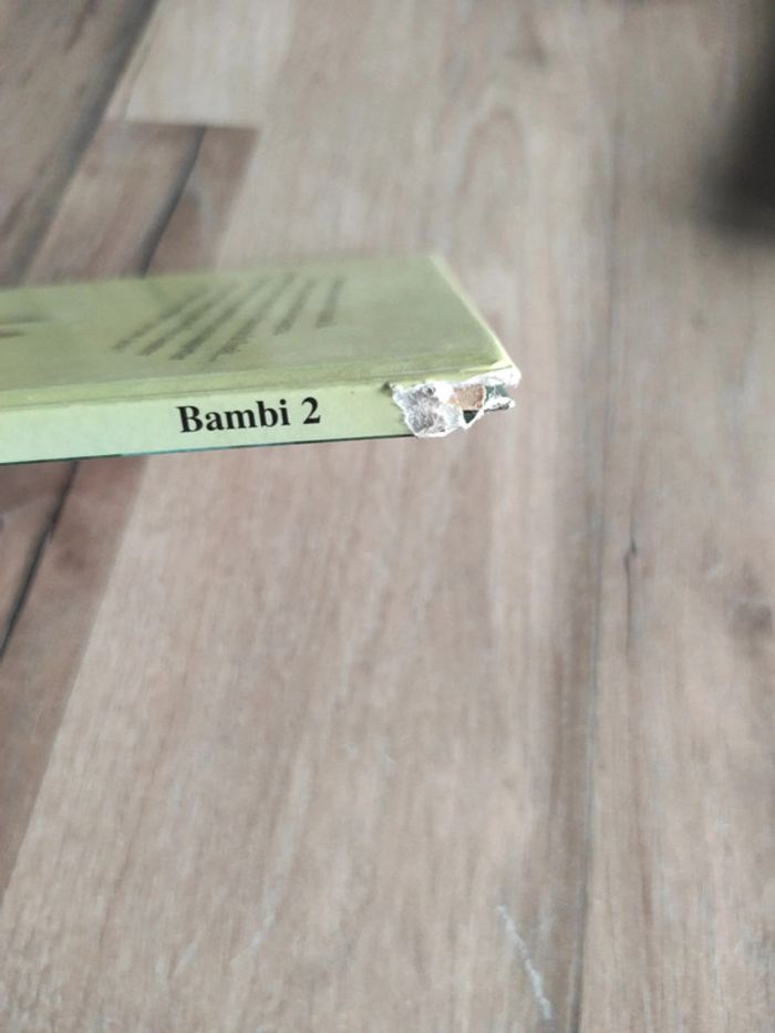 Bambi 2 Disney - photo numéro 4