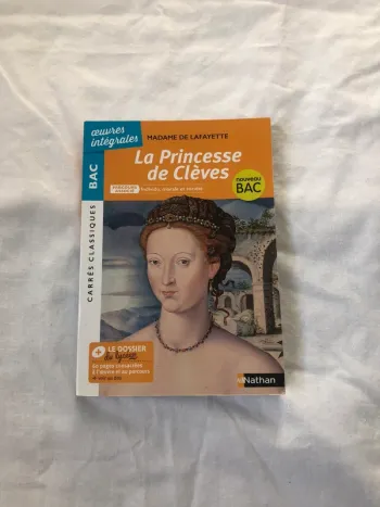 La princesse de clèves