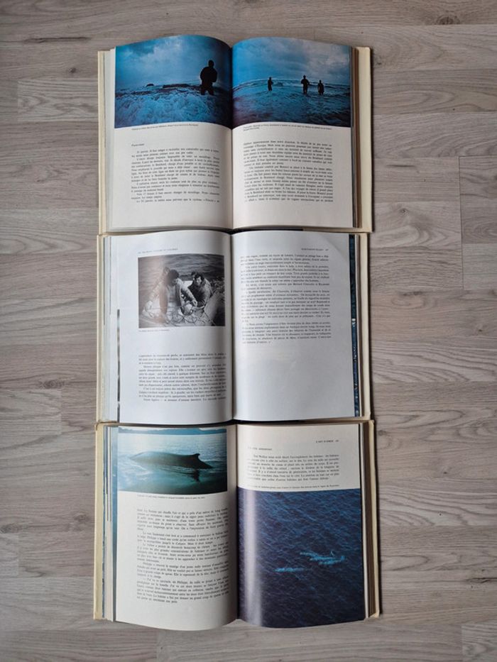 Livre Diole et Cousteau - photo numéro 3