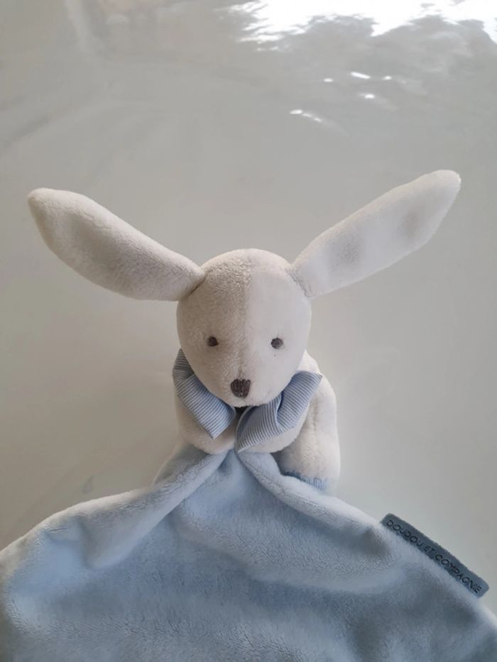 Lapin bleu doudou et compagnie - photo numéro 2