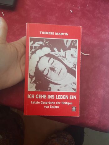 Ich gehe ins leben ein p c