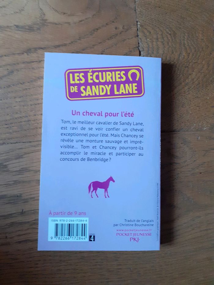 🐎 Les écuries de Sandy Lane un cheval pour l'été - photo numéro 2