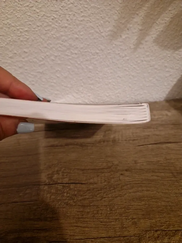📚 le livre qu il ne faut surtout pas lire - photo numéro 4