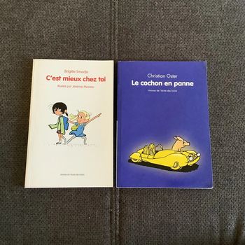 Livres c’est mieux chez toi / le cochon en panne ( l’école des loisirs)