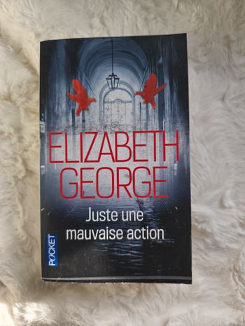 Juste une mauvaise action Elisabeth Georges