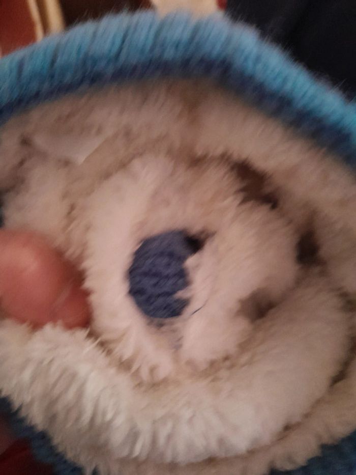 Bonnet bleu avec pompom - photo numéro 5