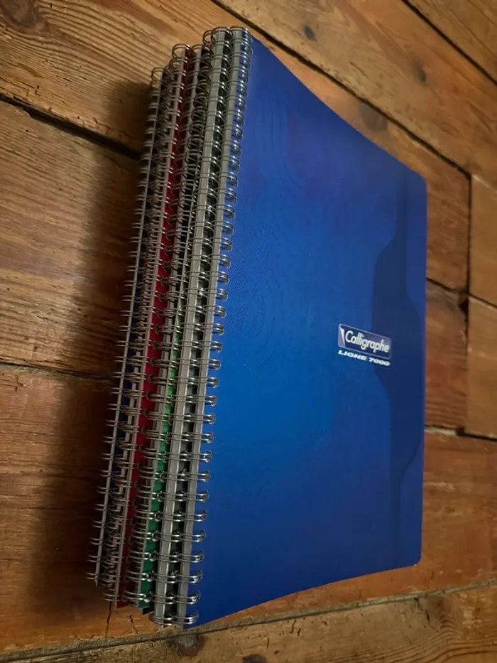 NEUF Calligrahe lot de 9 cahiers petits carreaux spirales Ligne 7000 100 pages 70g - photo numéro 5