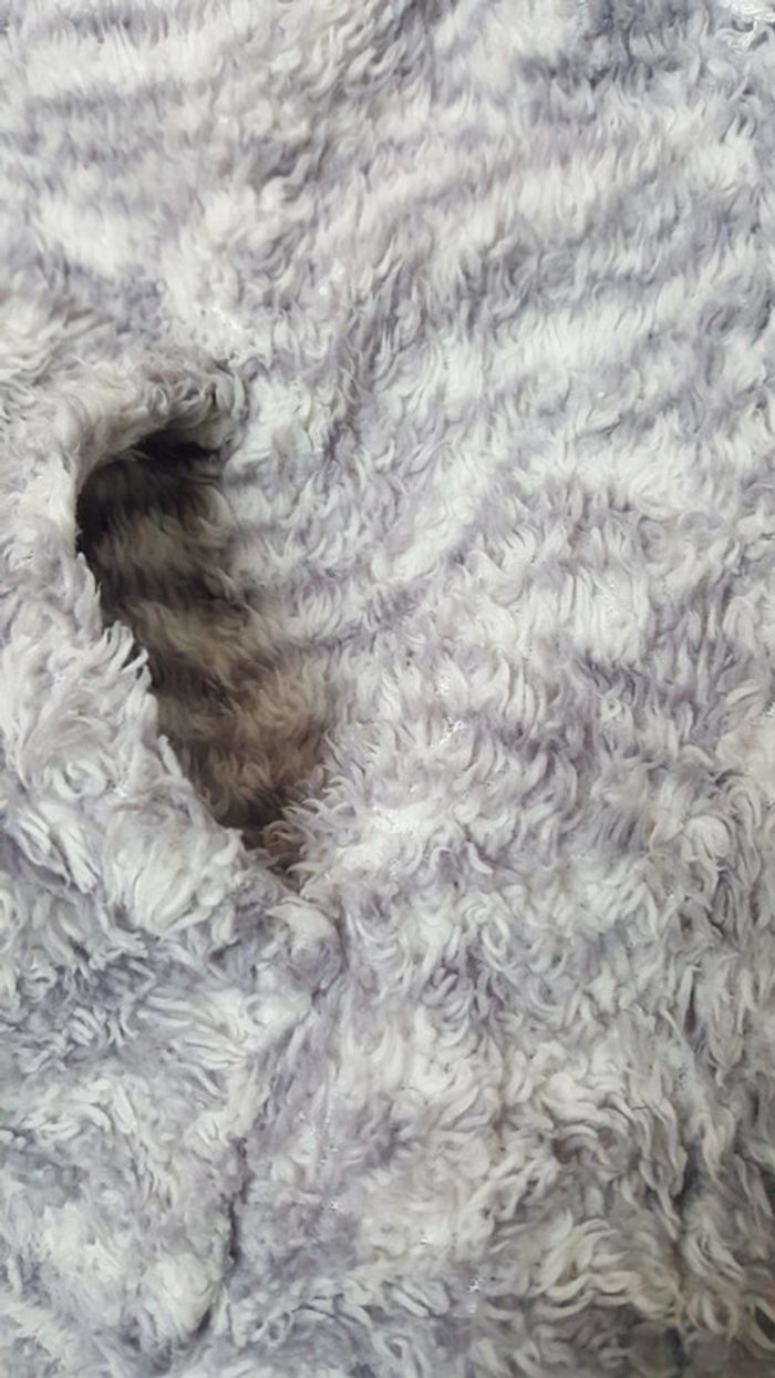 Gilet fantaisie  polaire " nounours" manches longues fille - photo numéro 2