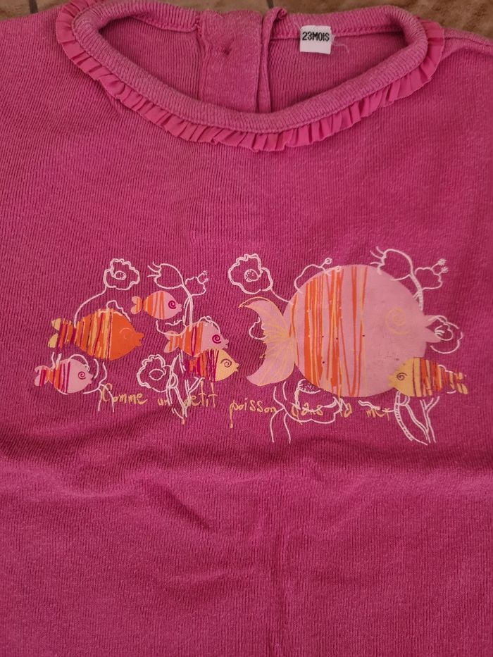Lot 2 t-shirts / Taille 2 ans - photo numéro 3
