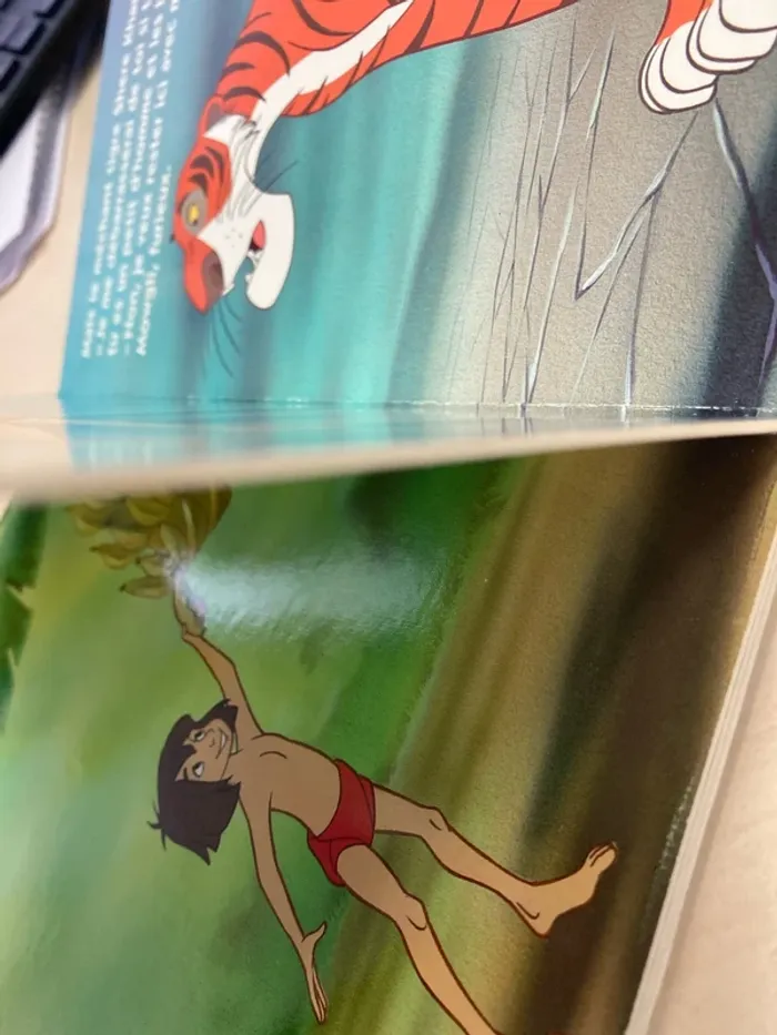 Livre de la jungle - photo numéro 4