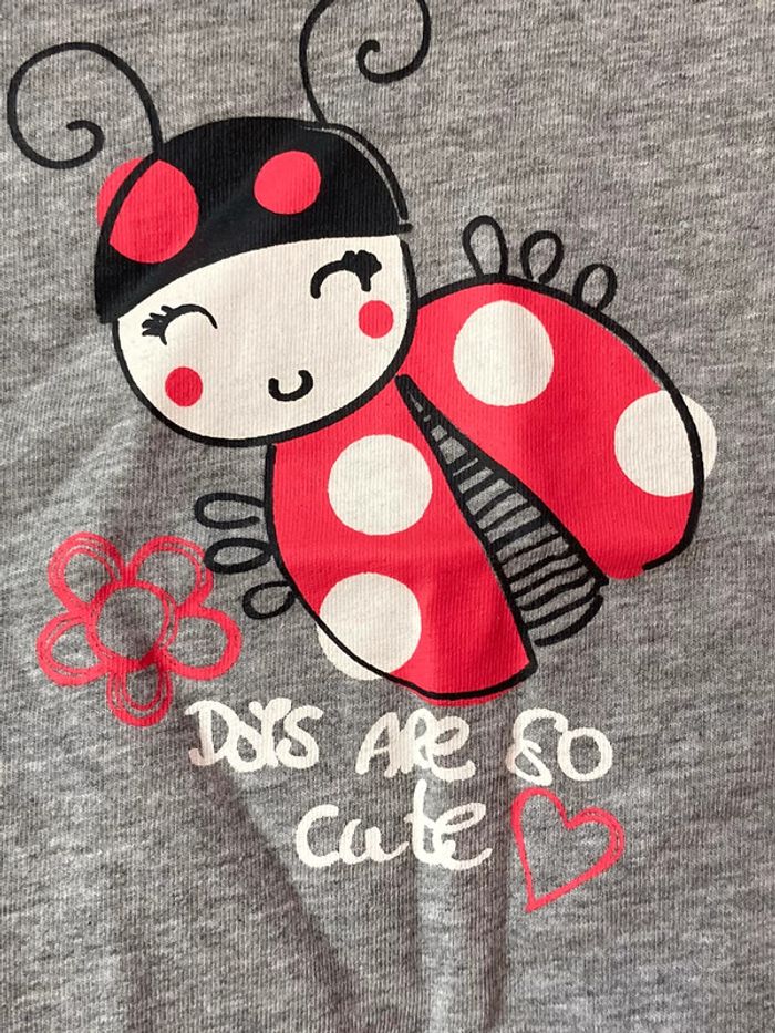 Lot de 4 t-shirt 12 mois - photo numéro 7