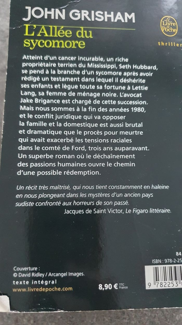 L'allée du sycomore - photo numéro 3