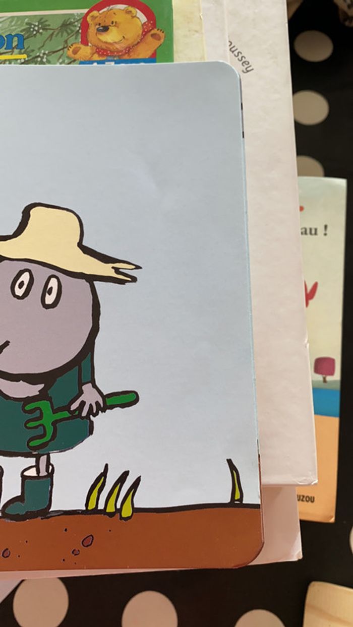 Livre la graine d’arc-en-ciel - photo numéro 5