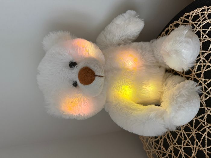 Ours blanc qui change de couleurs - photo numéro 5