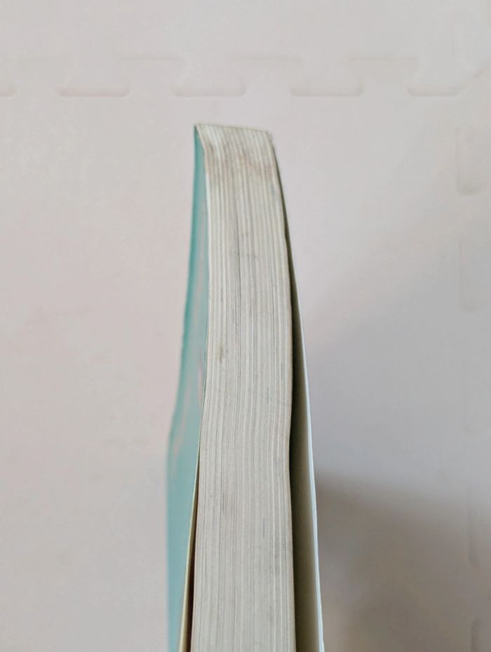 Lot 4 livres Itinéraires Littéraires Hatier – du Moyen Âge au XIXe siècle - photo numéro 14