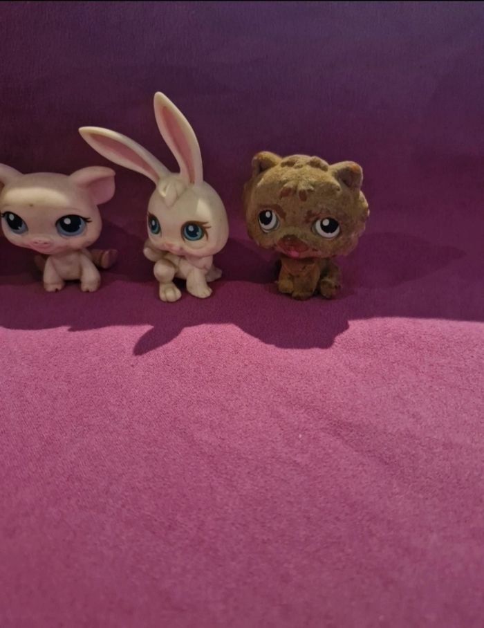 Petshop - photo numéro 3