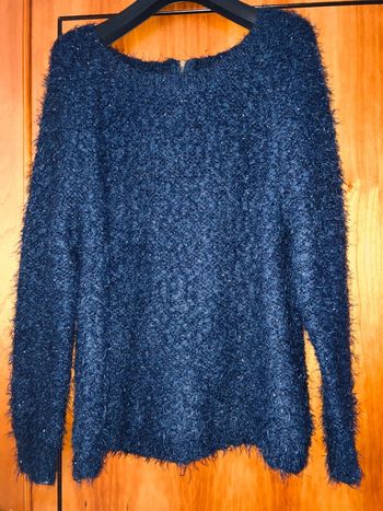 Pull bleu à poils 40 neuf