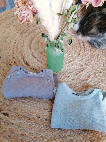 Lot de 2 pulls bébé fille