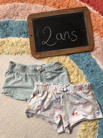 Lot 2 shorts