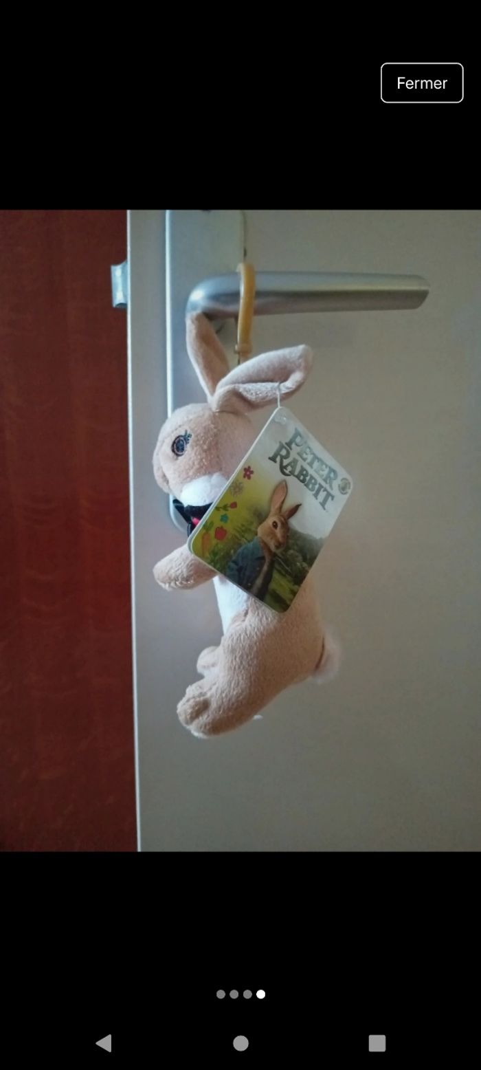 Peluche petter rabbits porte clef - photo numéro 4