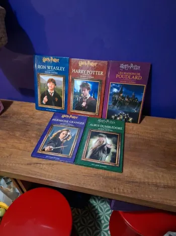Lot de 5 livres Harry Potter Gallimard jeunesse