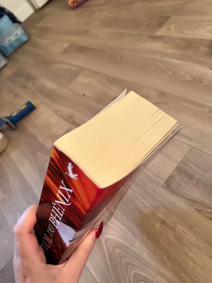 Nicki Pau Preto - L’envol du Phénix tome 1 - photo numéro 6