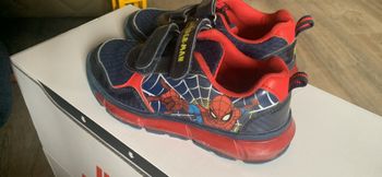 Basket spider man 30