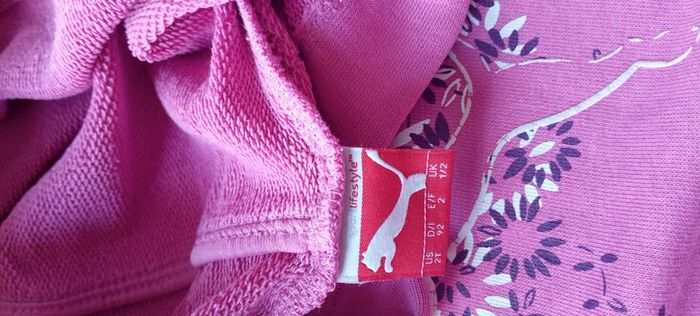Pull puma - photo numéro 4