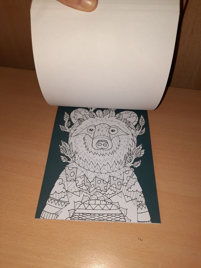 Carnet de coloriages - photo numéro 3