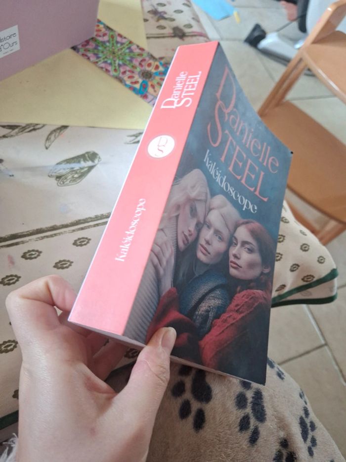 Kaleidoscop Danielle steel - photo numéro 2