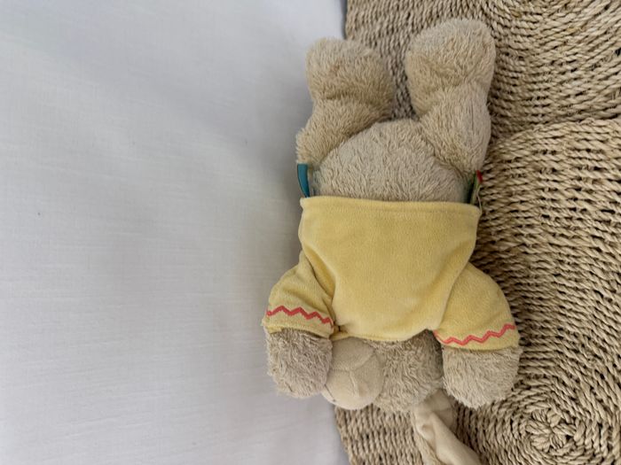 Doudou musical chien sweat capuche jaune NICOTOY - photo numéro 4