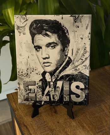 Carrelage Elvis Presley 20x25cm