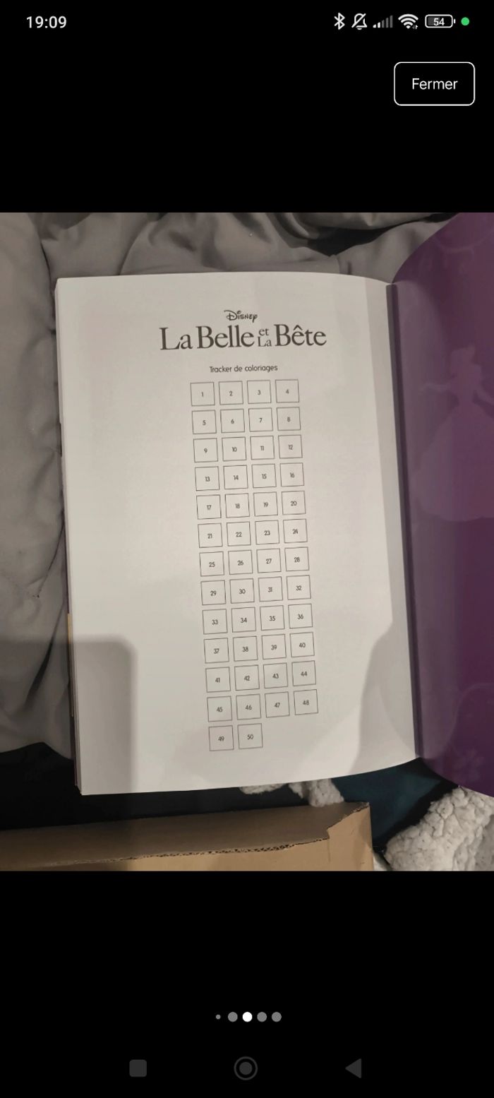 Livre de coloriage mystère la belle et la bête - photo numéro 4