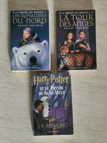 Harry Potter et le Prince de Sang-Mêlé - A la croisée des mondes