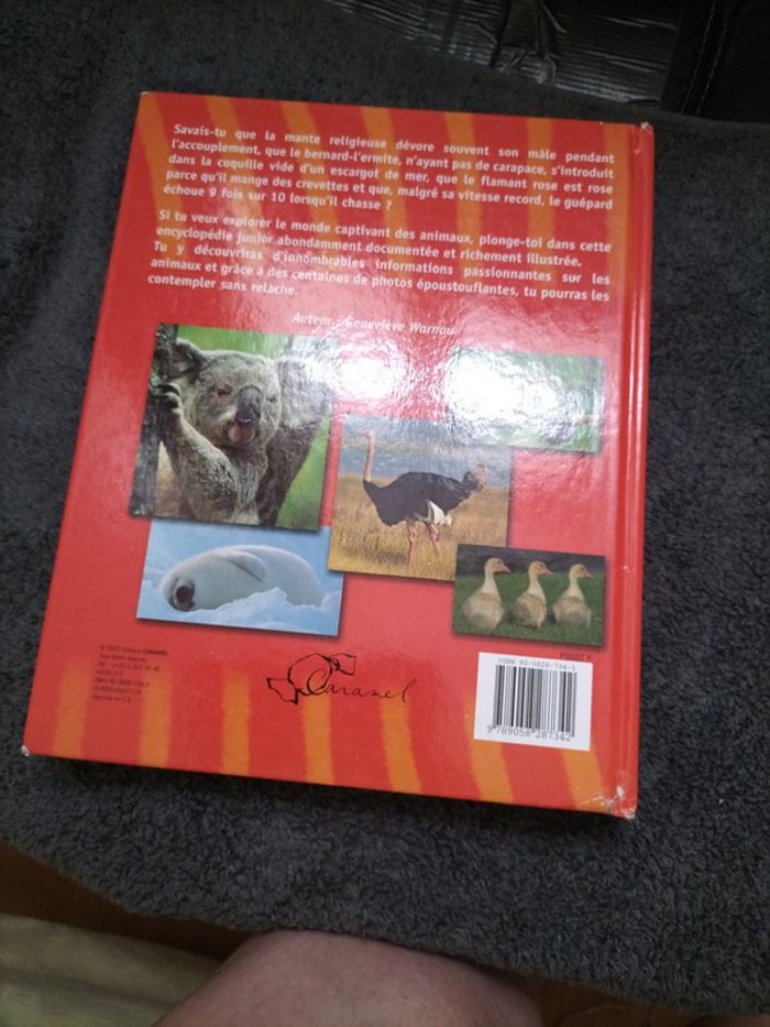 Ma première encyclopédie 🌟 - photo numéro 2