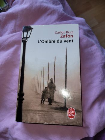 L ombre du vent Carlos Ruiz Zafon