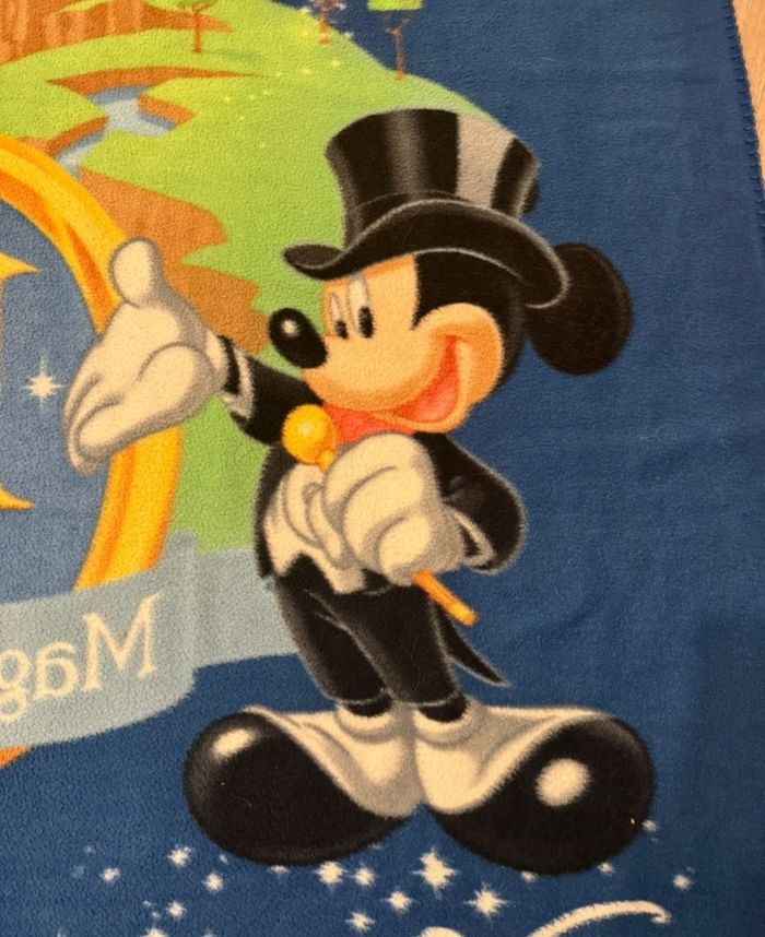 Plaid rare disney 15 ans - photo numéro 3