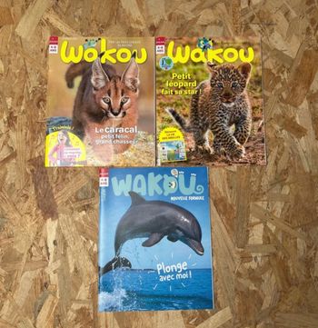 Lot de 3 wakou neuf
