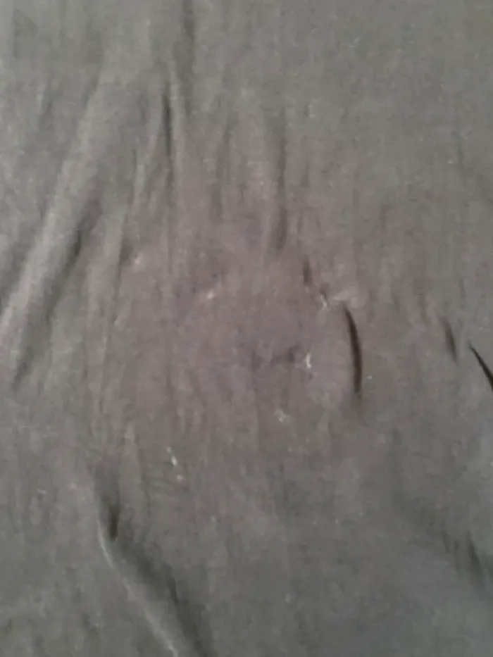 T-shirt - photo numéro 2