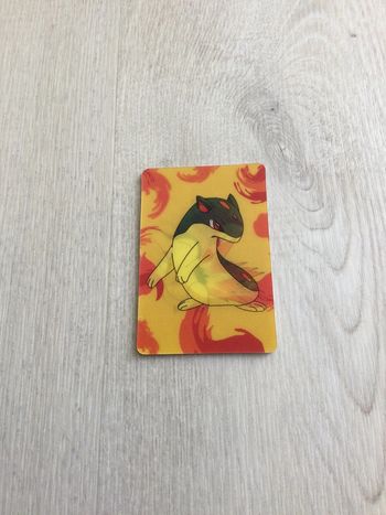 Carte Pokémon 3D héricendre et feurisson