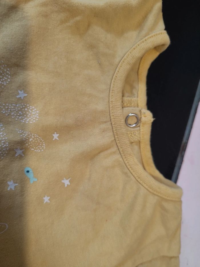 Grenouillère - photo numéro 3