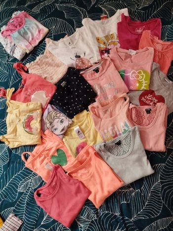 Lot 19 débardeurs et t-shirts plus 2 débardeurs offert